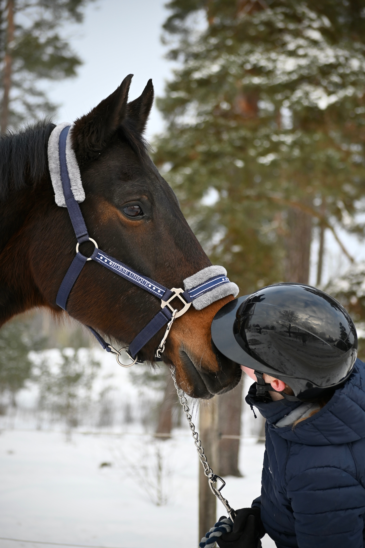 Hästar