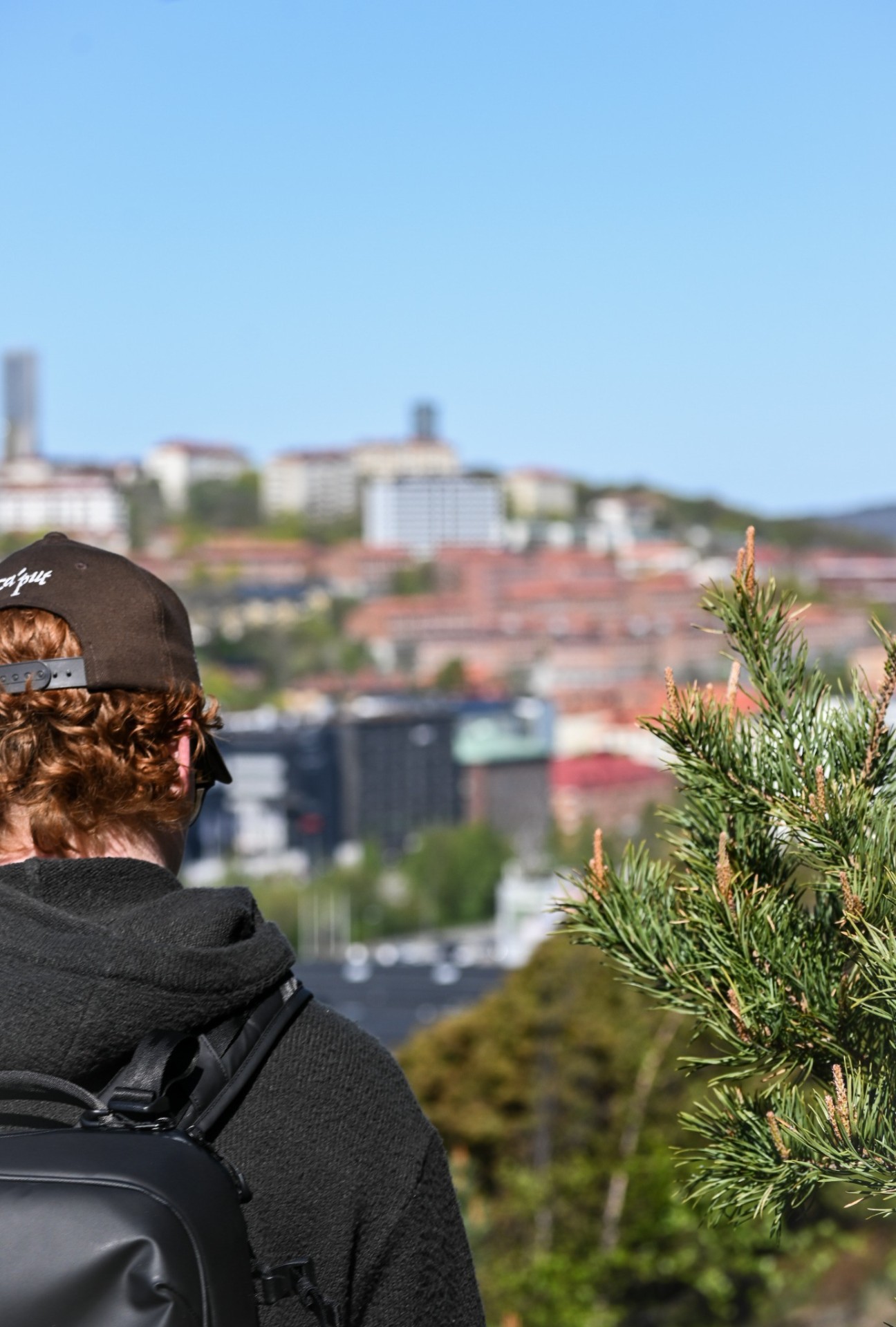 Stad och Natur