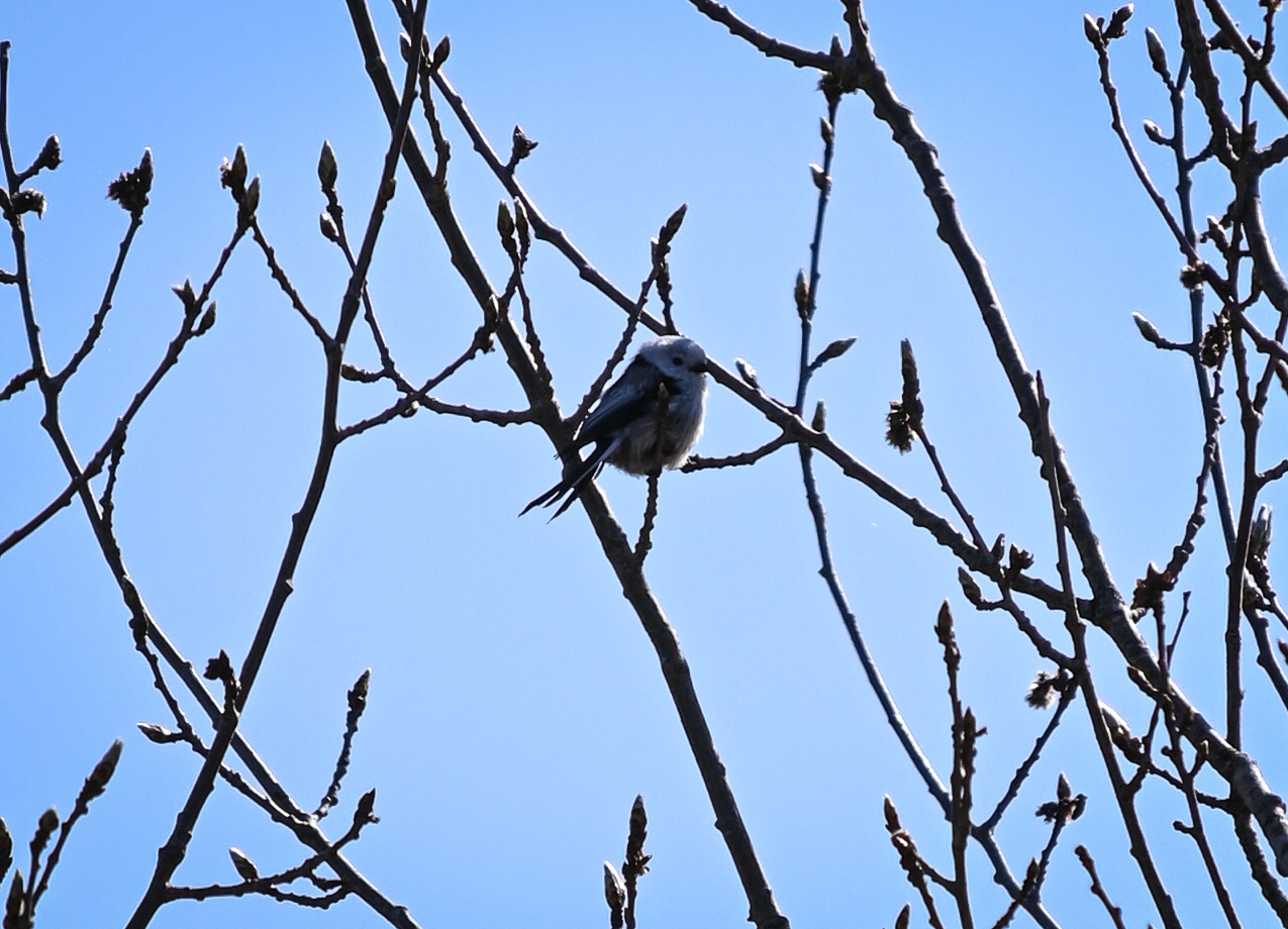 Stad och Natur