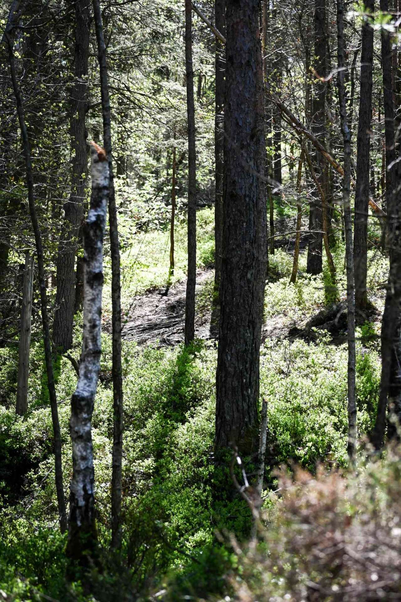 Stad och Natur