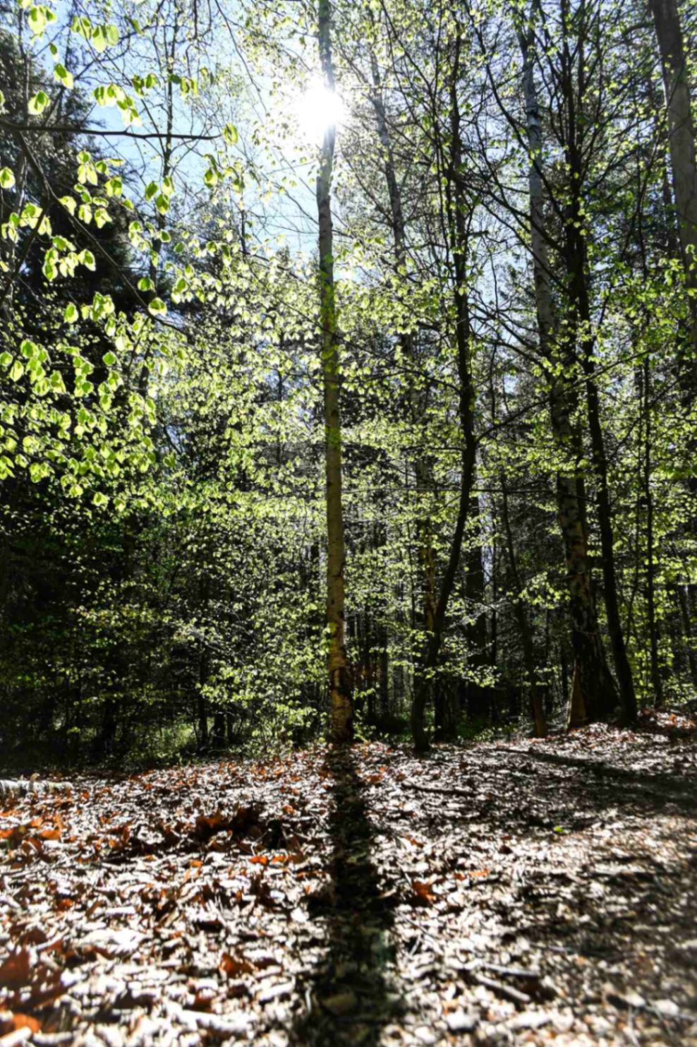 Stad och Natur
