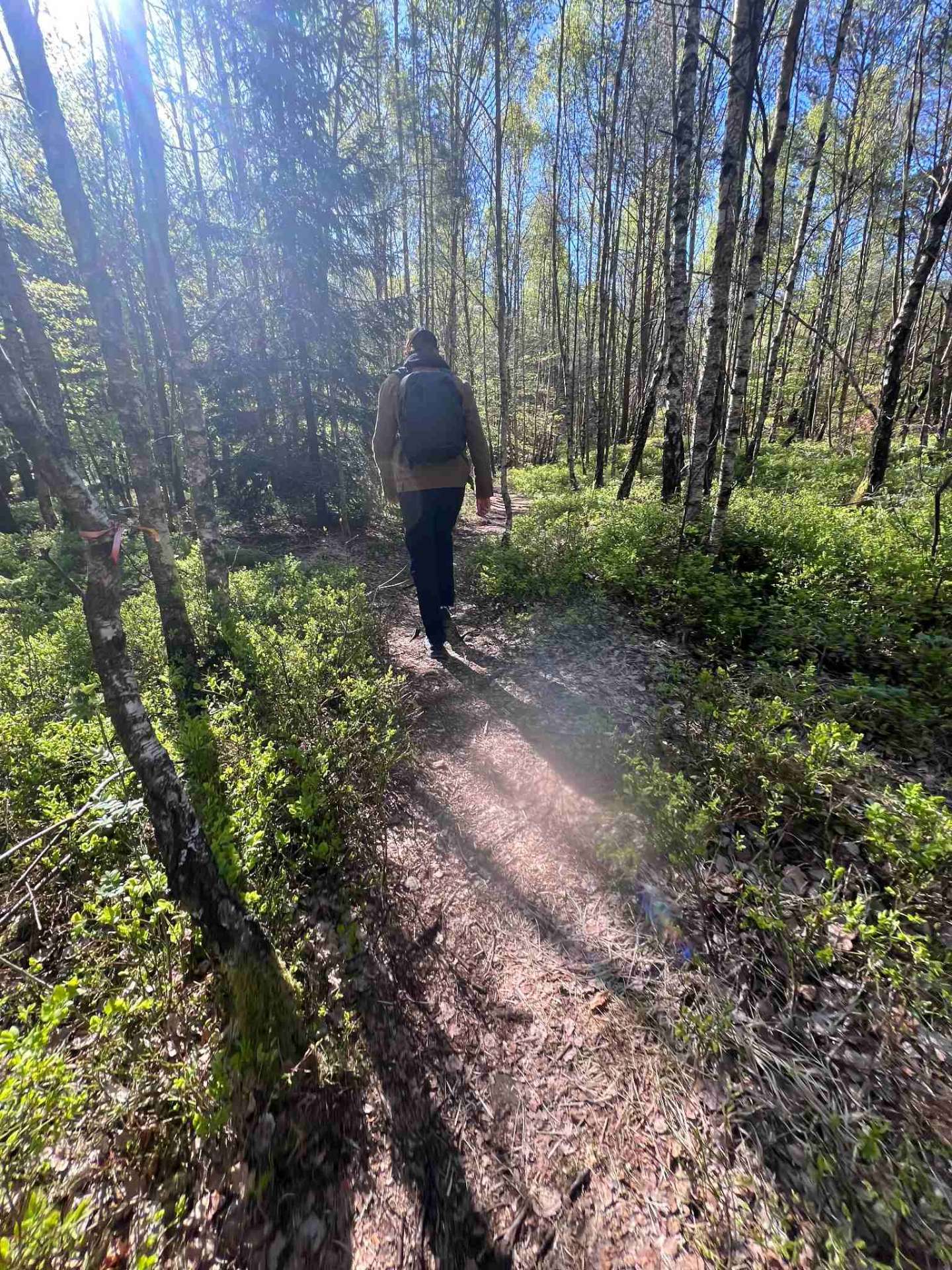 Min vecka hos Nordvind Media