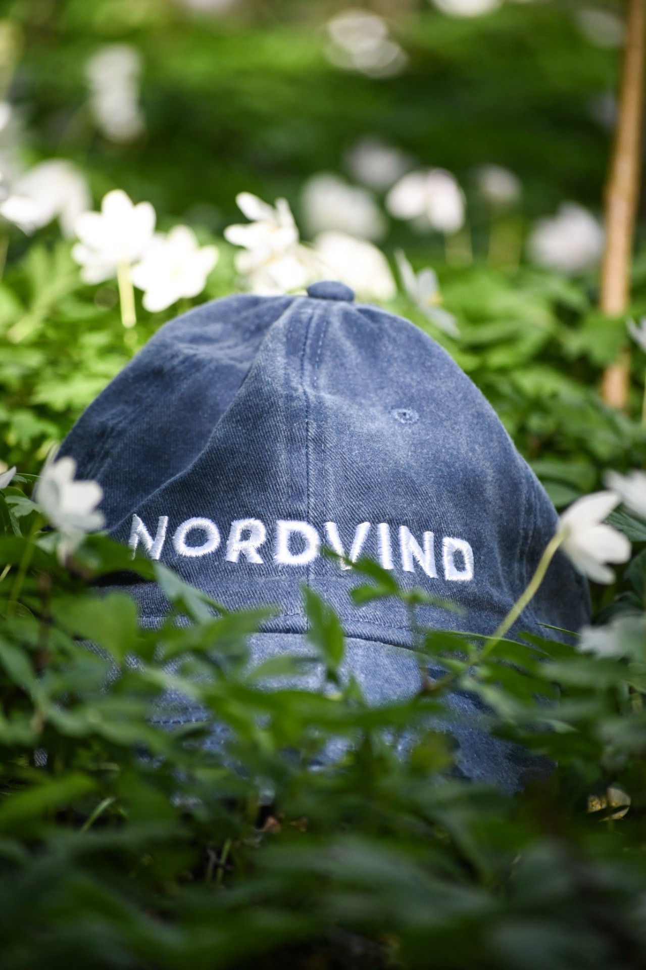 Min vecka hos Nordvind Media